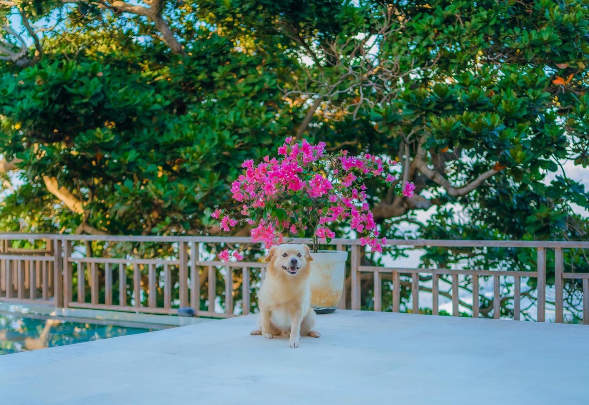 Raaga Samudra Villa ปาดังไบ ภายนอก รูปภาพ